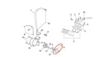 Ölpumpenritzel Minarelli OEM